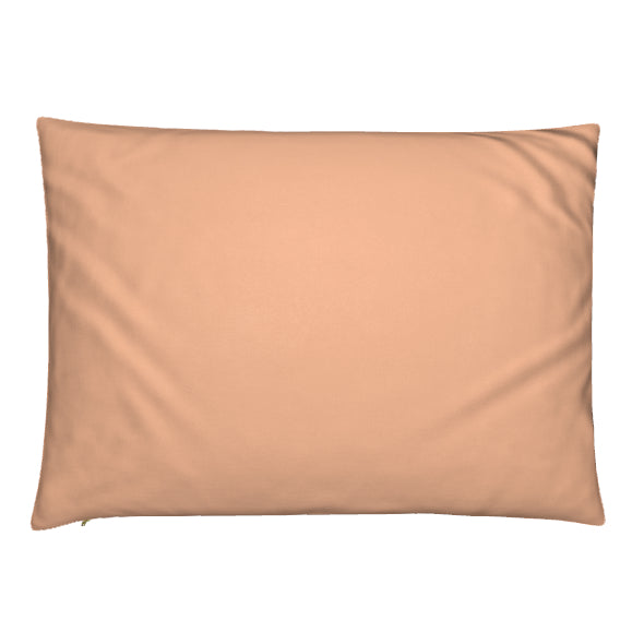 Rose Dusk Velvet Pillow