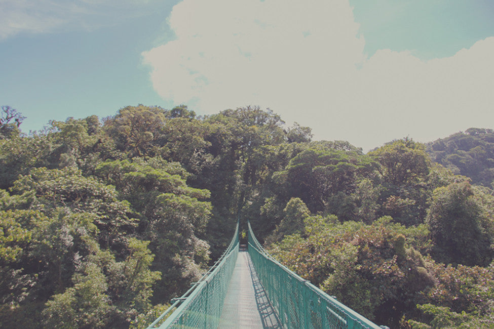 MONTEVERDE art - bunglo by shay spaniola - 3